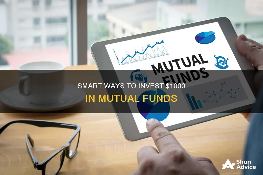 where to invest 1000 mutual funds