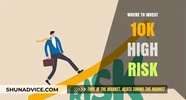 High-Risk, High-Reward: 10K Investment Strategies for the Bold