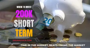 Maximize Your 200K: Top Short-Term Investment Strategies