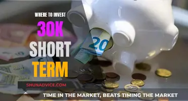 Maximize Your 30K: Top Short-Term Investment Strategies