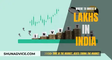 Smart Ways to Invest 8 Lakhs in India