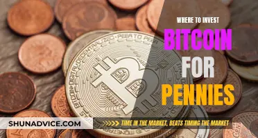 Discover the Best Places to Invest Bitcoin for Pennies