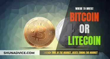 Bitcoin vs. Litecoin: Where to Invest Your Money?