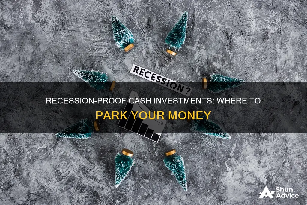 where to invest cash during recession