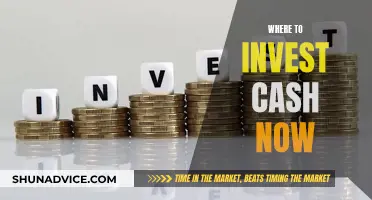 Best Places to Invest Your Cash Today