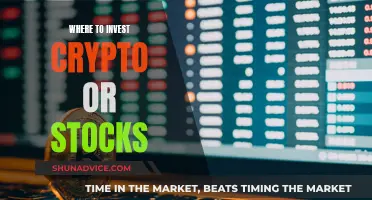 Crypto or Stocks: Where to Invest Your Money?