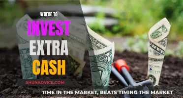 Extra Cash: Where to Invest for Maximum Returns