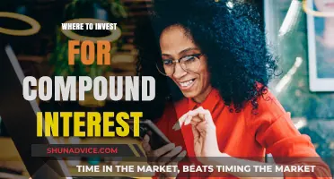 Maximizing Compound Interest: Top Investment Strategies for Long-Term Wealth