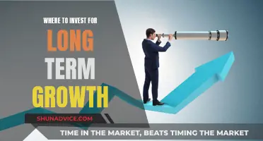 Maximizing Long-Term Growth: Top Investment Strategies for the Future