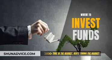 Investing Funds: Where to Start for Maximum Returns