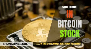 The Ultimate Guide to Investing in Bitcoin Stock