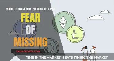 FOMO Investing: Cryptocurrency Opportunities and Risks