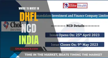 DHFL NCD Investment: Where to Invest in India