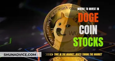 Doge Coin Stock Investment: Where to Invest?