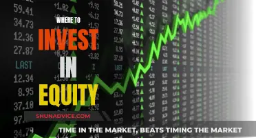 Equity Investment Strategies: Where to Invest for Maximum Returns