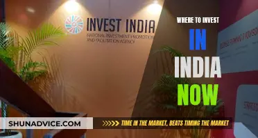 India's Best Investment Opportunities: Where to Invest Now