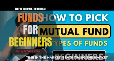 Mutual Funds 101: Best Places to Invest for Beginners