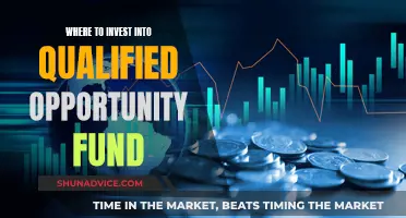 How to Choose a Qualified Opportunity Fund for Investing