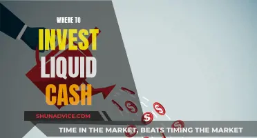 Liquid Cash Investment: Where to Place Your Money Wisely