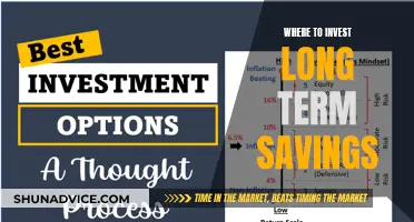 Long-Term Savings: Top Investment Strategies for Your Future