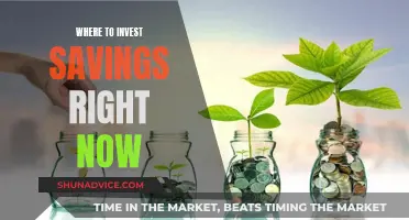 Savings Strategies: Where to Invest Right Now