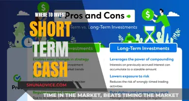 Maximize Your Short-Term Cash: Top Investment Strategies