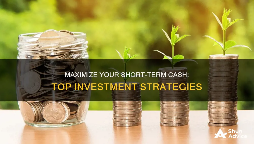 where to invest short term cash