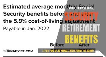 Maximizing Social Security Retirement Benefits: Strategic Investment Avenues