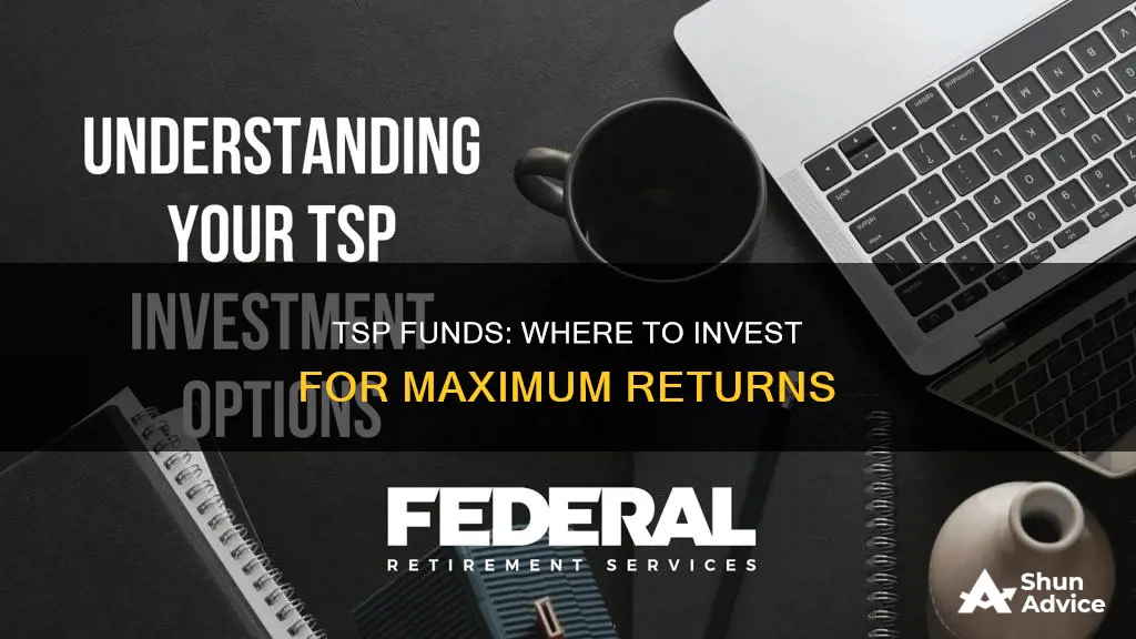 where to invest tsp funds