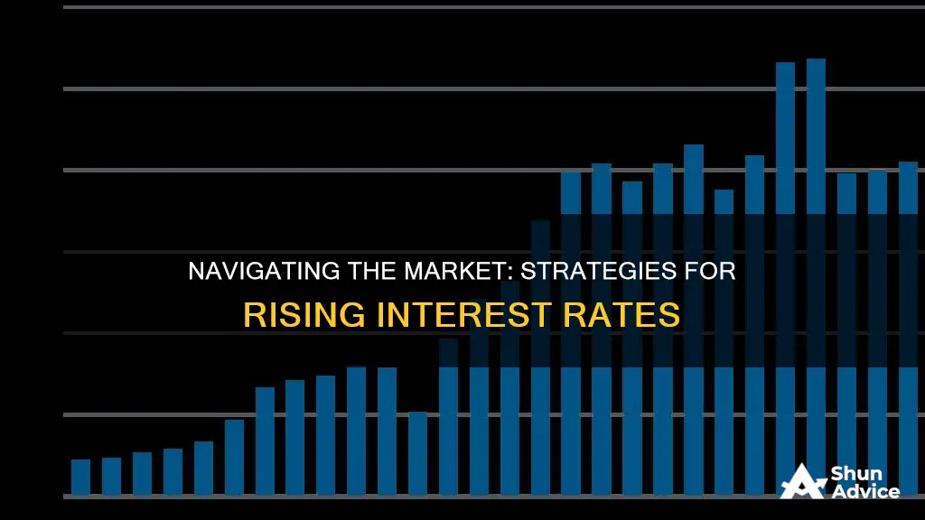 where to invest when interest rates rise