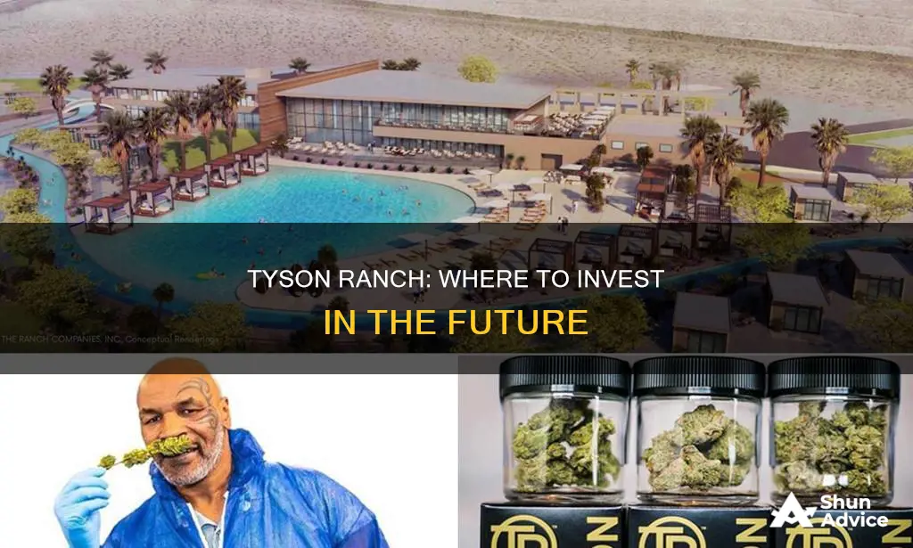 where to make a tyson ranch investment