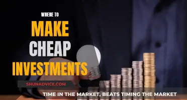 Smart Ways to Make Cheap Investments: A Guide