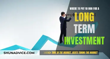 Maximizing Your Long-Term Investment: Strategies for $10,000