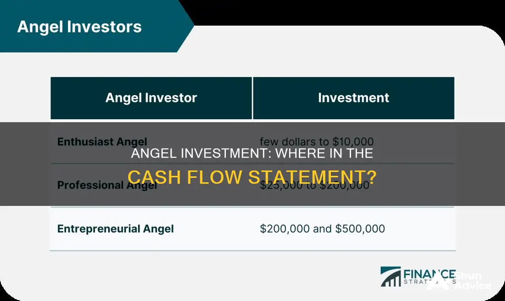 where to put angel investment in cash flow statement