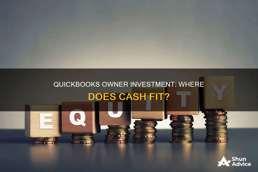 where to put owner cash investment in quickbooks