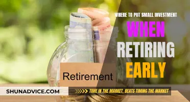 Small Investments, Big Retirement: Navigating Early Financial Freedom