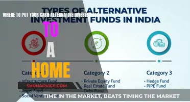 Explore Alternative Investments Beyond Your Home