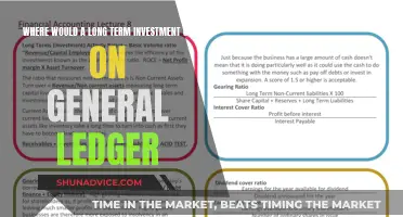 Long-Term Investment Allocation: Understanding General Ledger Impact