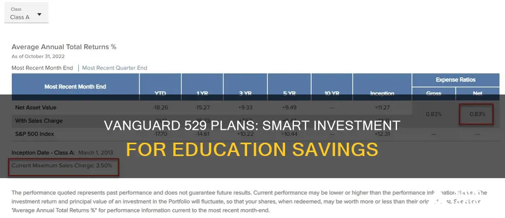 which 529 invest in vanguard funds