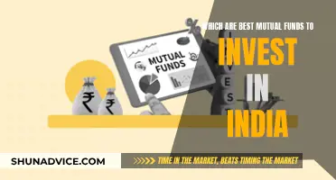 Best Mutual Funds to Invest in India: Top Picks