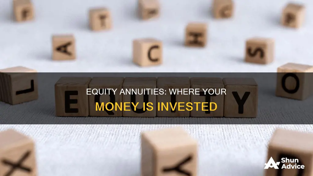 which are equity annutuities invested in