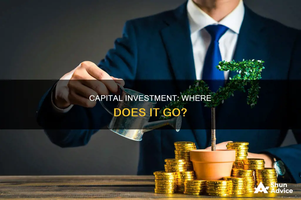 which are the most likely uses of captial invested