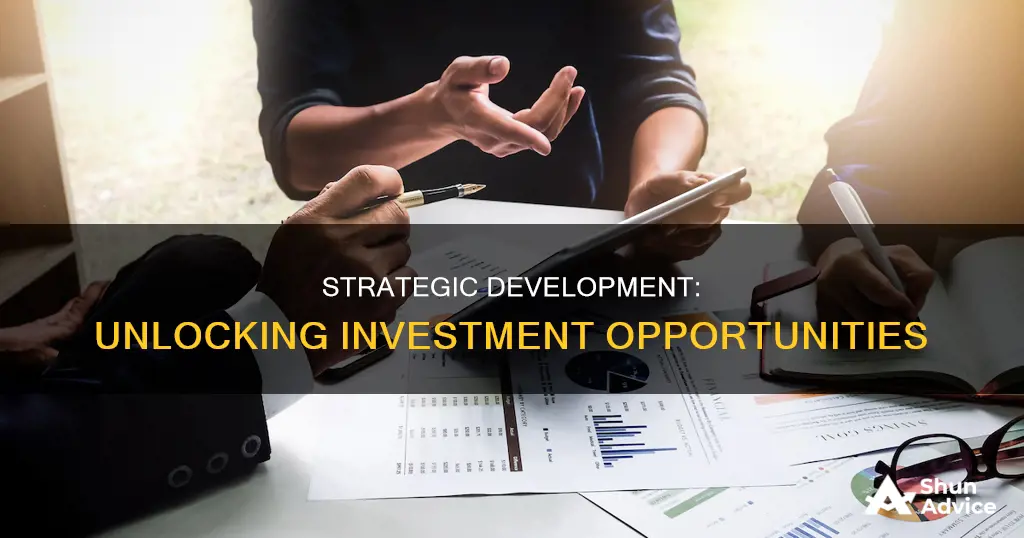 which aspect of strategy and investment funding involves developing