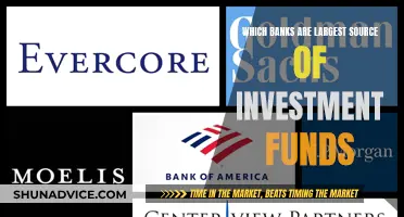 Global Investment: Largest Funding Sources in Banking