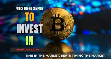 Bitcoin Company Investment: Where to Put Your Money?