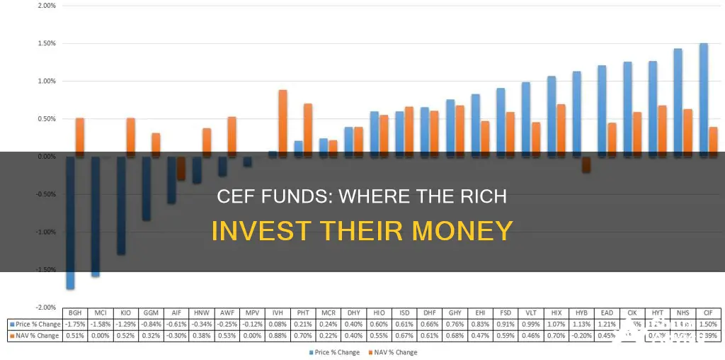 which cef funds do the rich invest in