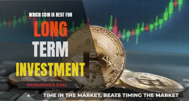 Best Long-Term Crypto Investments: Picking the Winners