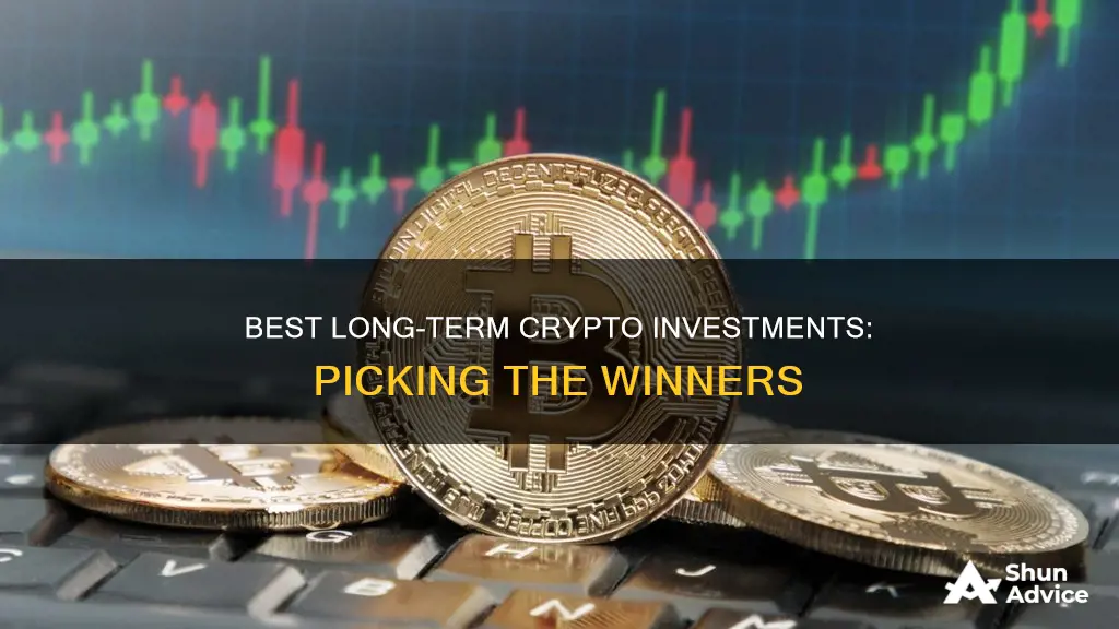 which coin is best for long term investment