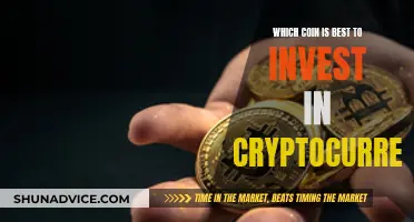 The Best Cryptocurrency Coins: Where to Invest?