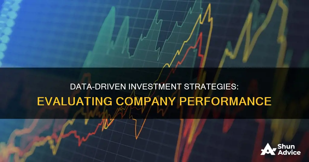 which comapnies uses infomation to evaluate their investment